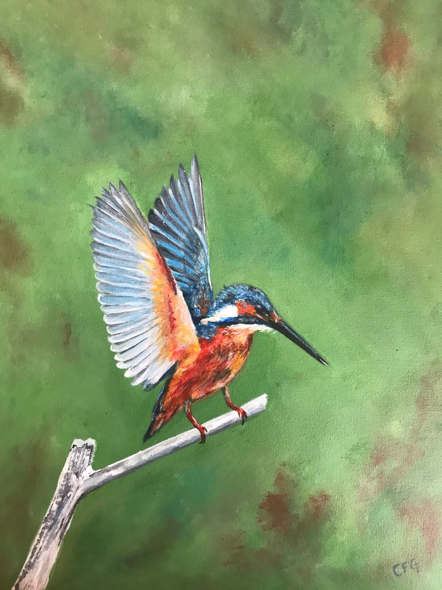 Kingfisher. Acrylic on canvas. 
#painting #acrylic #kingfisher #wildlife