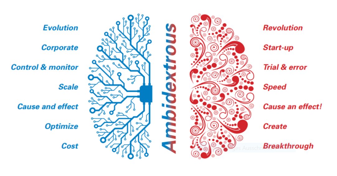 ◼️Companies can be defined as “#ambidextrous” when they continuously solve the trade-off between being fast &amp; creative and scale-driven &amp; productive. As such, they establish an equilibrium characterized by a strong emphasis on both dimensions.
Top article bit.ly/3ghjy0Z