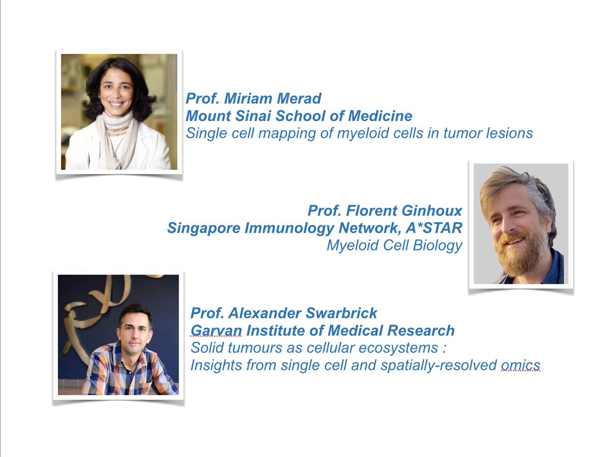 Ankur Sharma (@asharmaiisc) on Twitter photo 📢Oral abstracts for #ozsinglecell Perth Closing soon!
Attention Tumor-immunology tweeps, talks from 👇 <a href="/MiriamMerad/">Miriam Merad, MD, PhD</a> <a href="/FGinhoux/">@realFlorentGinhoux</a> @dralexswarbrick
eventbrite.com.au/e/oz-single-ce… 📢Oral abstracts for #ozsinglecell Perth Closing soon!
Attention Tumor-immunology tweeps, talks from 👇 <a href="/MiriamMerad/">Miriam Merad, MD, PhD</a> <a href="/FGinhoux/">@realFlorentGinhoux</a> @dralexswarbrick
eventbrite.com.au/e/oz-single-ce…