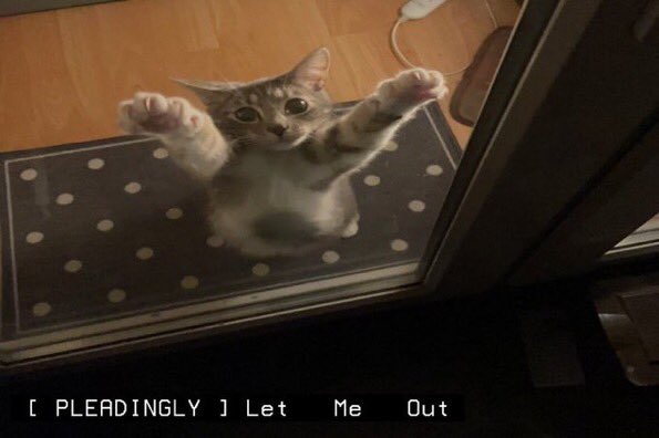 RICK . (@adventurcustype) on Twitter photo 