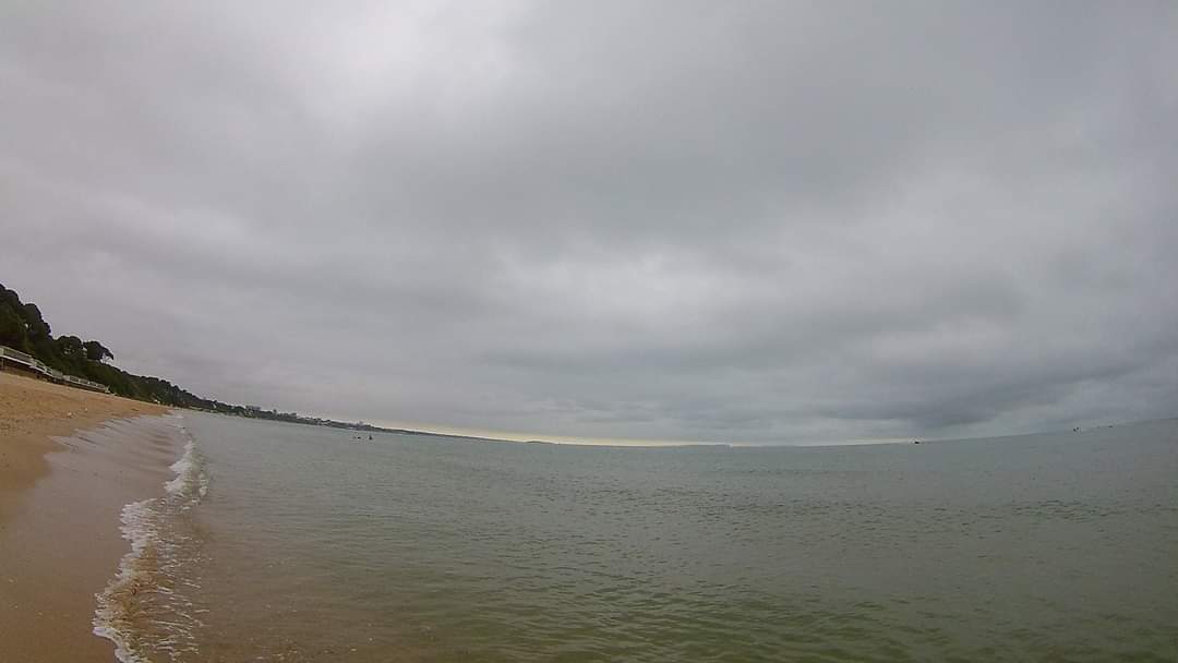 learningpowered's tweet image. Graphic rep&apos; of my arms tonight after 2,685m sea swim (colder than usual, too!) &amp;amp; 1,650m pool swim as house renovations too noisy to stay put! That&apos;s 4,335 metres today 💪 So close to France now @DiabetesUK Swimming tomorrow, but unlikely the 1.29 miles (2,076m) left! #jellyarms