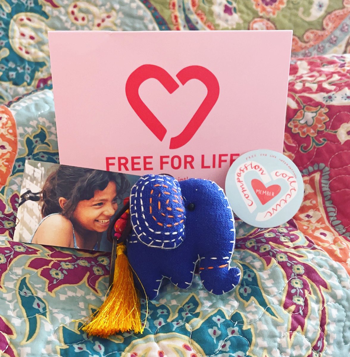 jess_scurlock's tweet photo. 💙I’m officially part of the Compassion Collective and an ambassador for @freeforlifeintl https://t.co/rHlUDNihoO