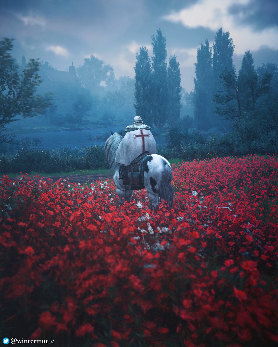 An in-game photo of Assassin’s Creed Valhalla by wintermut_e on Twitter. The photo shows Eivor, wearing a white cloak emblazoned with a red cross and its hood raised, riding a pale horse flecked with black spots. They stand knee-deep in a field filled with vibrant crimson flowers, with several white flowers in their proximity. A blue-tinged fog covers the middle and far-distance of a forest and overcast sky.