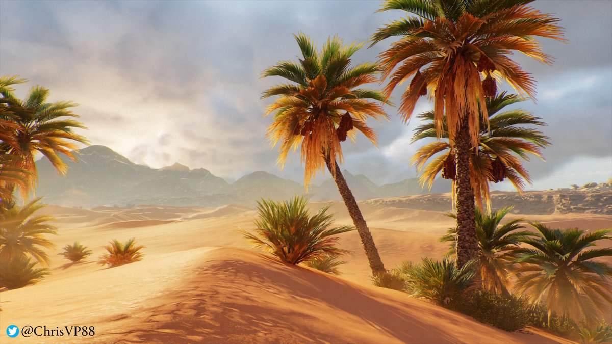 An in-game photo of Assassin’s Creed Origins by ChrisVP88 on Twitter. The photo shows a small gathering of bushes and trees among an expanse of dunes with the sun beating down on the sand. One tree leans harshly to the side, while the other has a collection of brush at its base. A mountain range looms in the background, shrouded by distance and clouds on the horizon. 