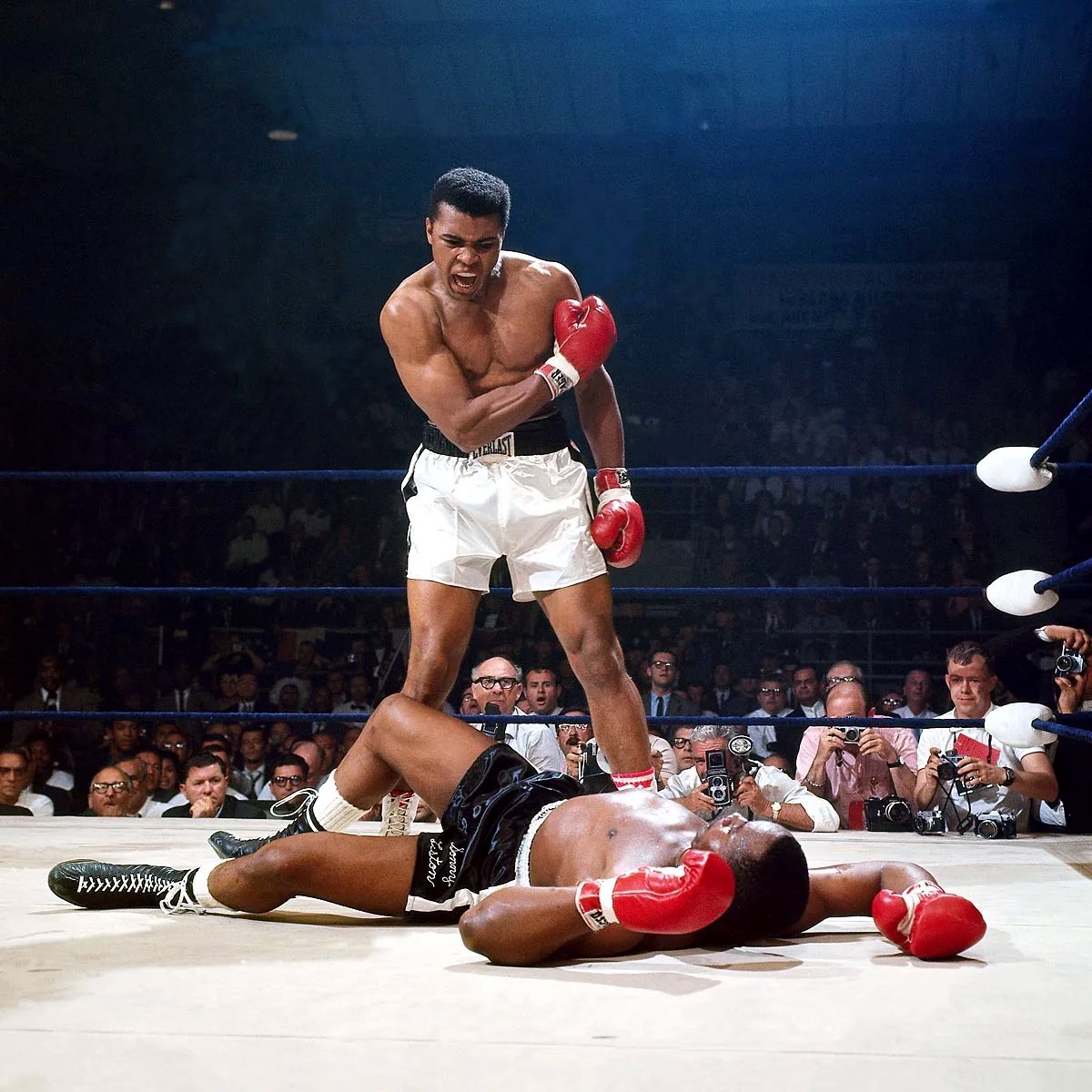 WhistleSports's tweet photo. It’s #WorldPhotographyDay. 

What’s the BEST sports photo ever taken??? 👀 📸 https://t.co/H8u3vY38jP