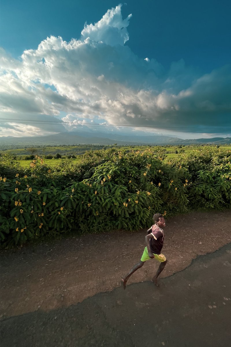 michaelfelleke's tweet photo. #WorldPhotographyDay My favorites this year #ethiopia https://t.co/97q5LED4o4