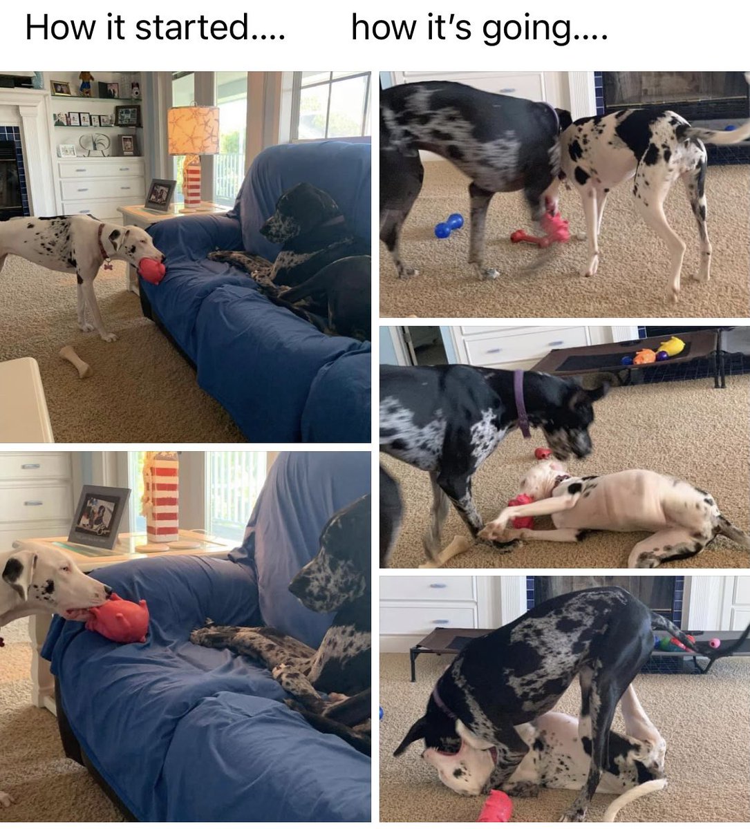 jimstem's tweet image. 