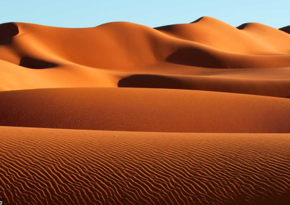 Brainlagz tweet media