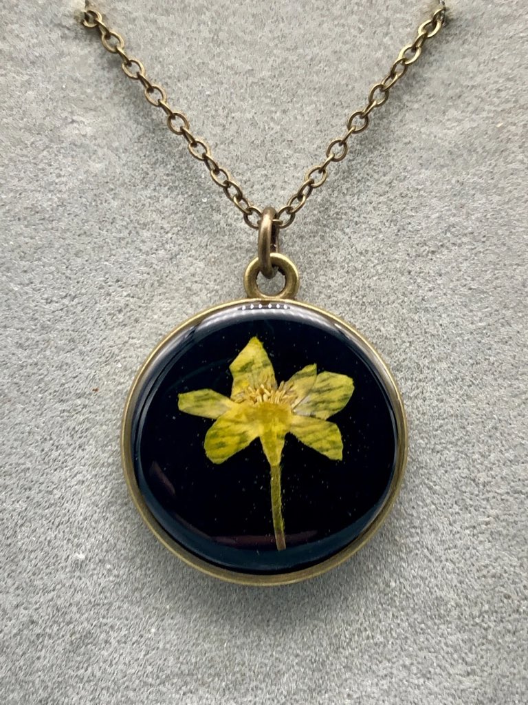 Themysticmeadow's tweet photo. Annunciation flower 🌼 so unique https://t.co/cWojDss94G