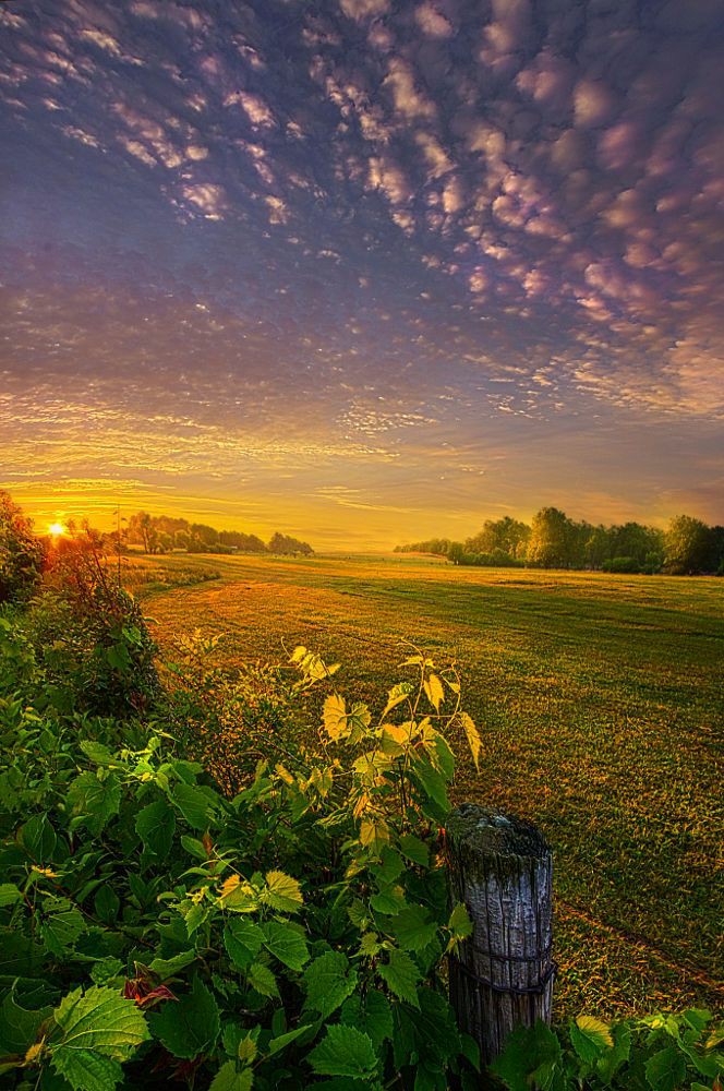 природа далеко. река рассвет туман деревня. туманное утро в деревне. солнечная природа. прохлада фото.