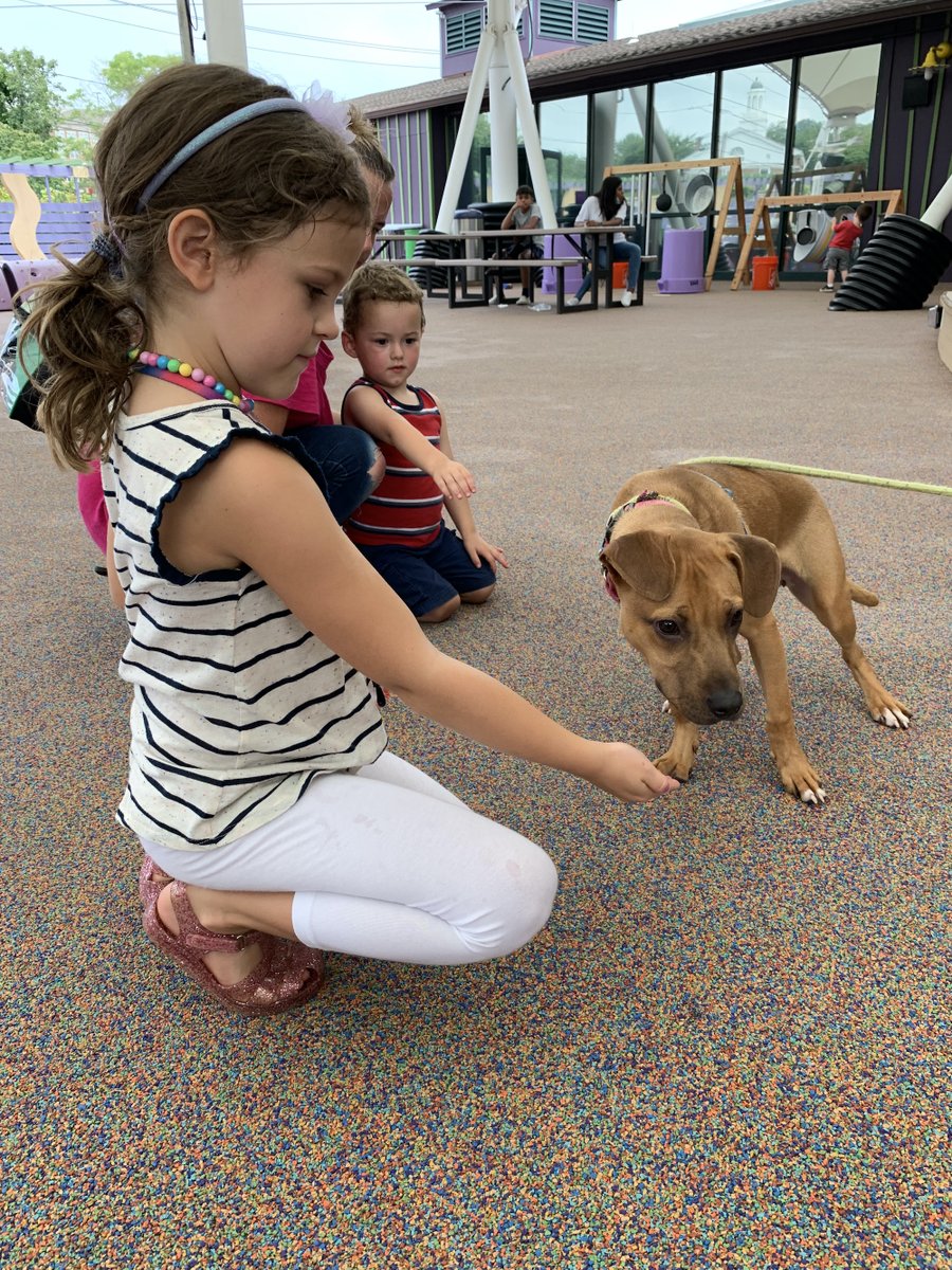 🐾 Our friends at the <a href="/PAWSCT/">PAWS of Norwalk, CT</a> have many wonderful animals waiting to find their forever homes. Some of them have even visited us in the Courtyard during Free Play! 🐾  Head to their page to learn more: bit.ly/3AMJ5qx! #pawsct #animaladoption #dogsofpaws