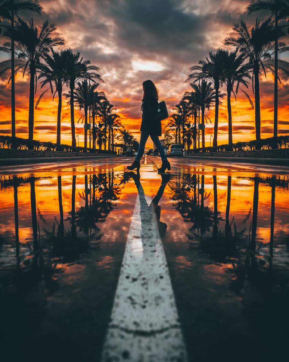 How wonderful is the color and its presence. It is a masterpiece. Surah is one of the most beautiful masterpieces
#photography #photographer
#photographersofinstagram #photographers #photo #video #videoos #videography #videographer #alexandria
#egypt #makeup #decor #makeuptuto