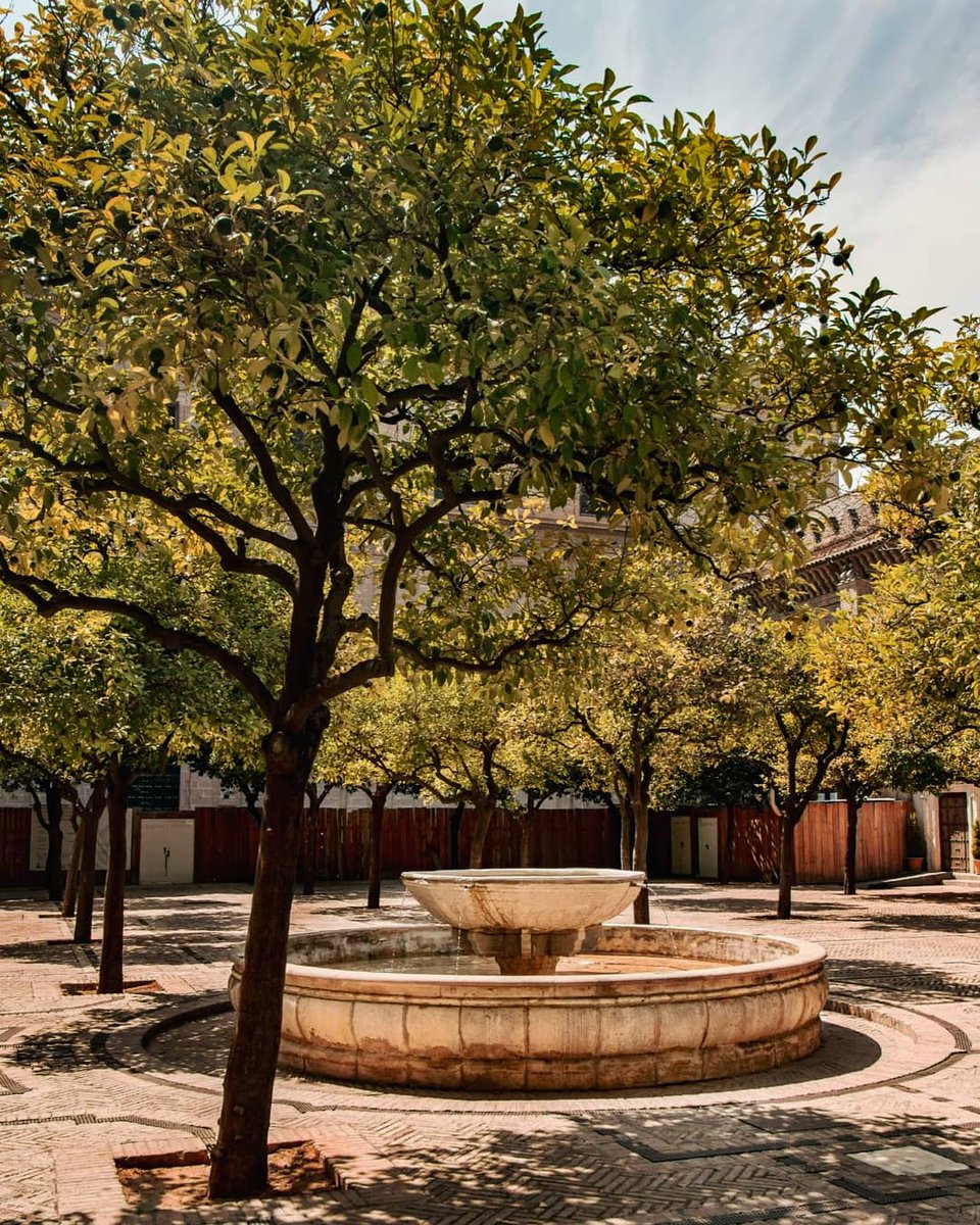 RonGS_'s tweet image. Seville
#JourneeMondialeDeLaPhoto