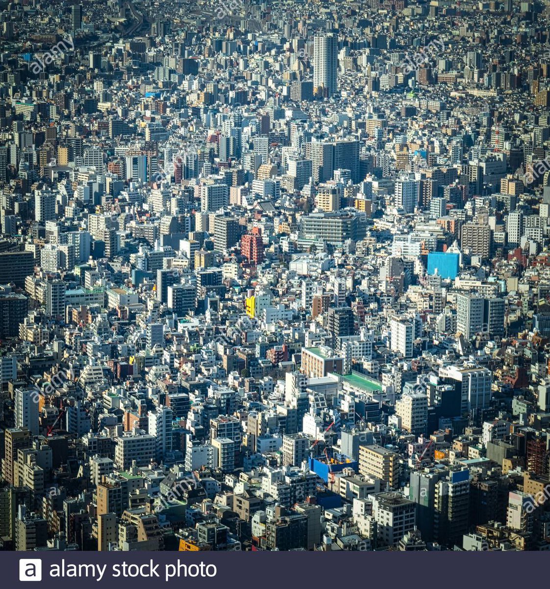 THANK YOU <a href="/LACity/">City of Los Angeles</a> The Local Electeds KNOW!!! Sacramento will KILL our communities of color!! STOP #SB9 #SB10. <a href="/AsmLuzRivas/">Assemblywoman Luz Rivas</a> <a href="/AsmRichardBloom/">Assemblymember Richard Bloom</a> <a href="/AsmCarrillo/">Wendy Carrillo</a> <a href="/AsmLisaCalderon/">Assemblymember Lisa Calderon</a> <a href="/ib2_real/">Isaac G. Bryan</a> <a href="/ASM_Irwin/">ASM Jacqui Irwin</a> <a href="/AsmMikeGipson/">Asm. Mike A. Gipson</a> <a href="/AsmJoseMedina/">Jose Medina</a> <a href="/AsmBlancaRubio/">Assemblywoman Rubio</a> <a href="/ChrisHoldenNews/">Chris Holden</a> <a href="/suzettemartinez/">Suzette Valladares</a>