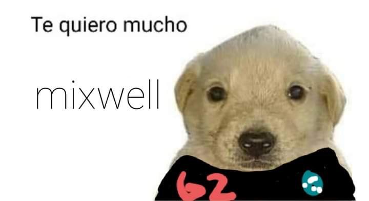 AragonCar_'s tweet photo. Cada vez que veo a @Mixwell hacer una Kill #G2army https://t.co/0KvcdPP6l0