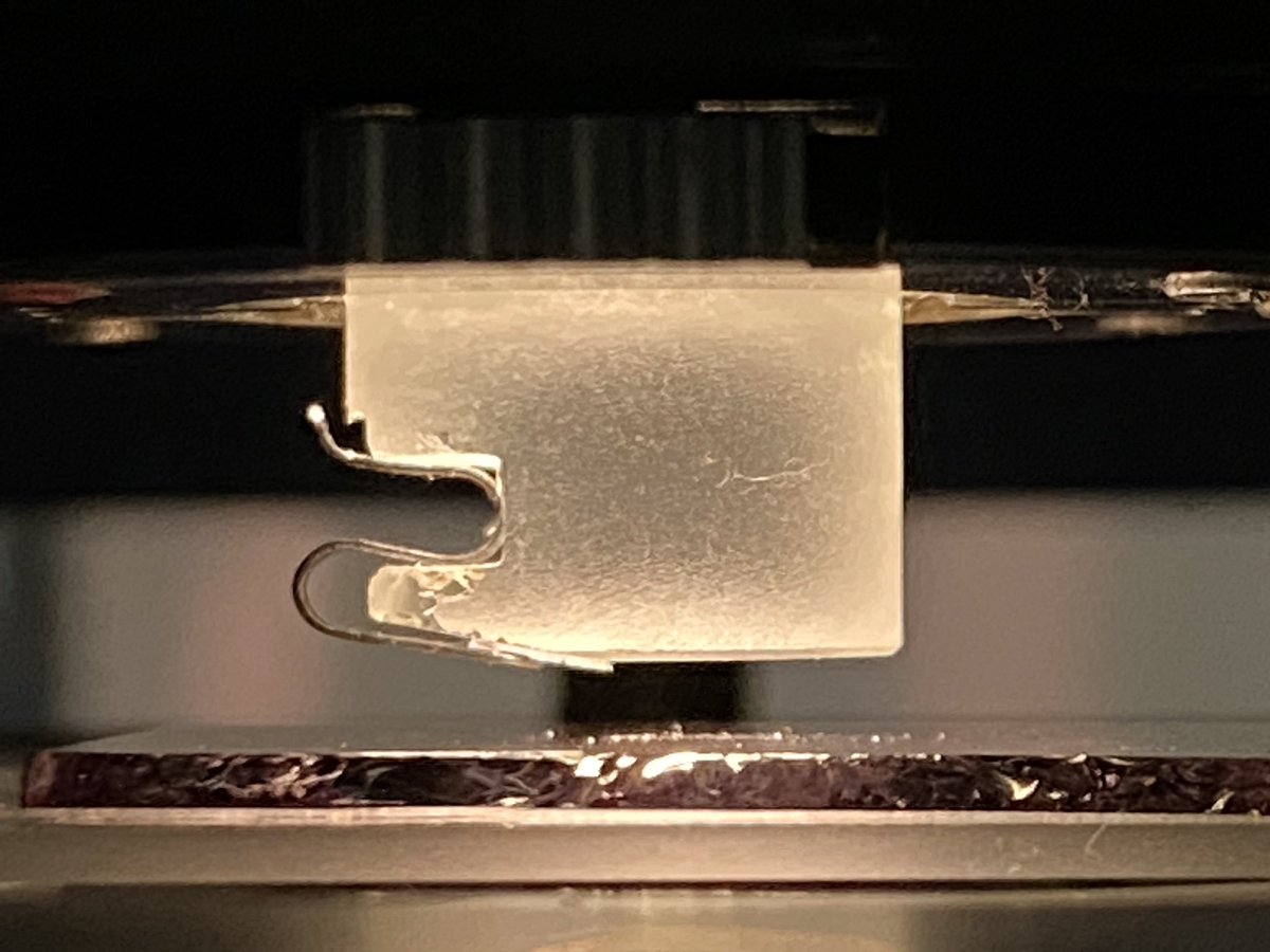 Luckyviana's tweet image. Quebrei a ponteira do AFM putaquipariu 

Fiquei muito muito triste, essa porra tem dimensão atômica e custa uma fortuna!!

Liguei pra professora e ela me tranquilizou pois “faz parte” “só quebra ponteira quem usa” 

ufaaa