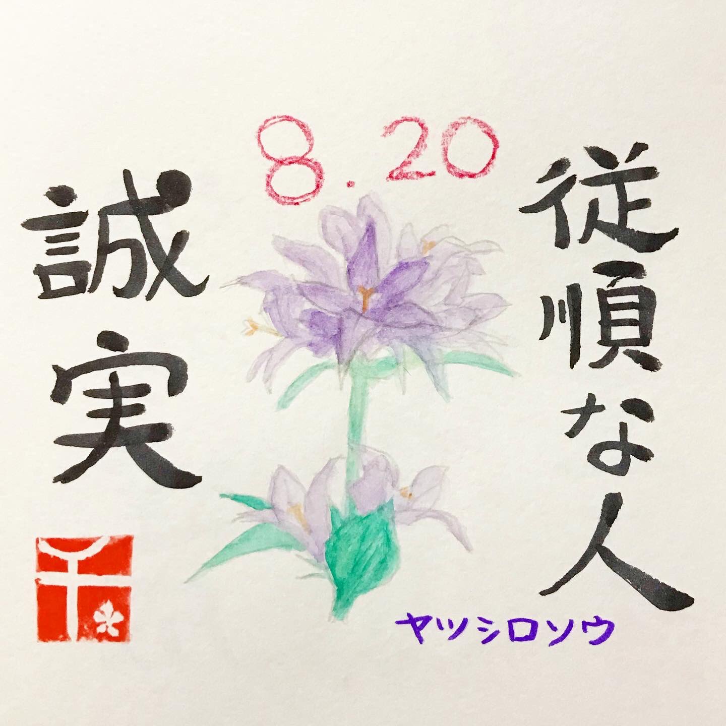 千花 誕生花アート 8月日の誕生花は ヤツシロソウ 八代草 Clusteredbellflower 花言葉は 従順な人 誠実 お誕生日おめでとうございます 誕生花 誕生日 Birthday Birthflower 筆文字 365days 花 Flower Flowers 花言葉 Art イラスト 花