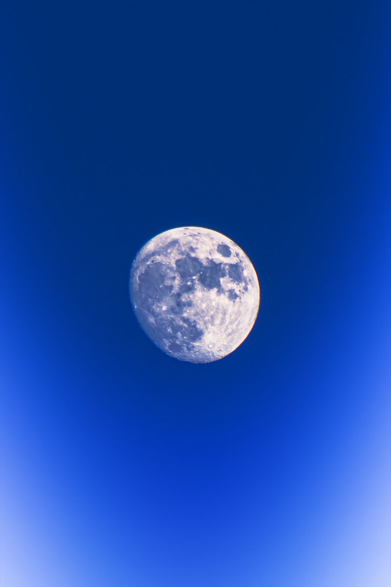 Yosnier_'s tweet photo. we're so close to the full moon 🥺 https://t.co/TnpVUziu42