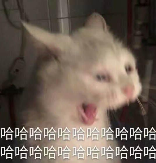 CODOL Council tweet media