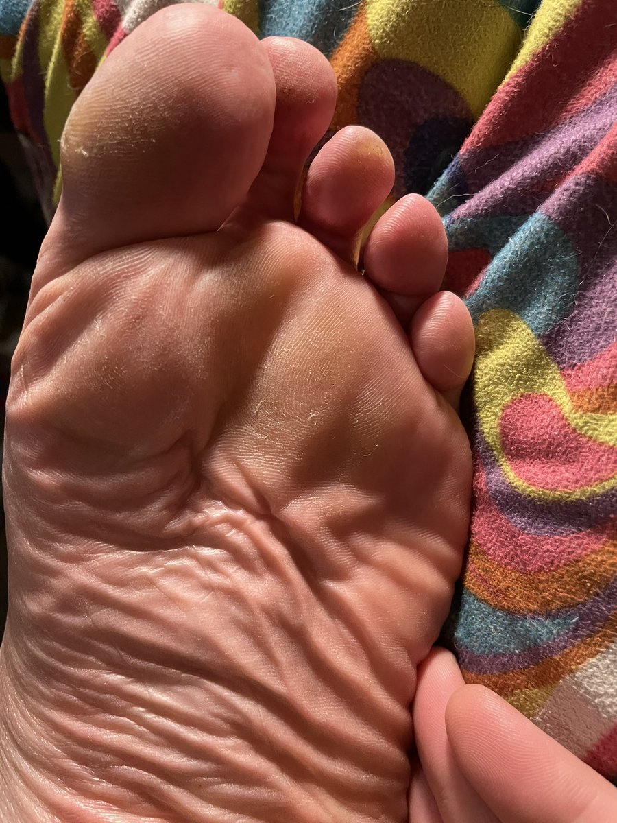 pussyfoot (@pussyfoot_1) / Posts / X