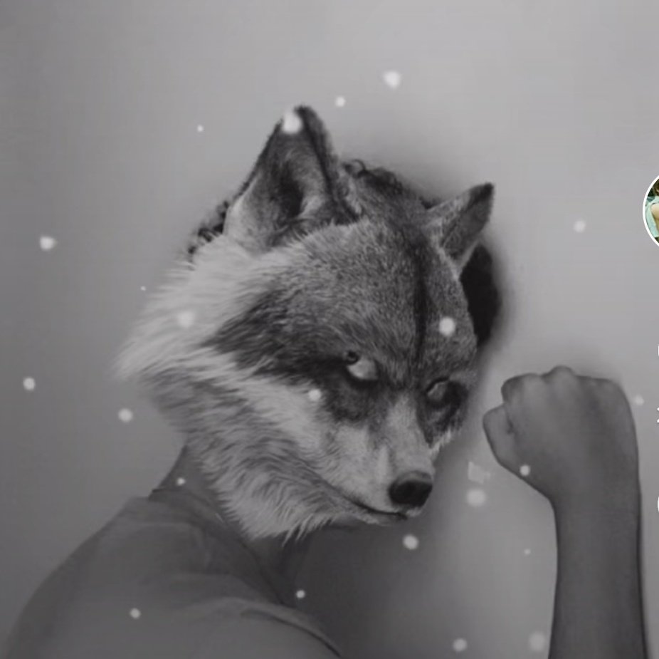 InbreadAimers's tweet image. #NewProfilePic