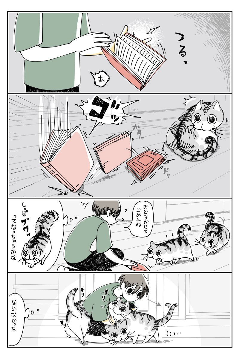 これは大丈夫だけどアレはダメ 猫さんのしっぽがぶわぶわになる理由が予測しにくい話 たぬきちゃんと呼ばれます Togetter これは大丈夫だけどアレはダメ 猫さんのしっぽがぶわぶわになる理由が予測しにくい話 たぬきちゃんと呼ばれます Togetter