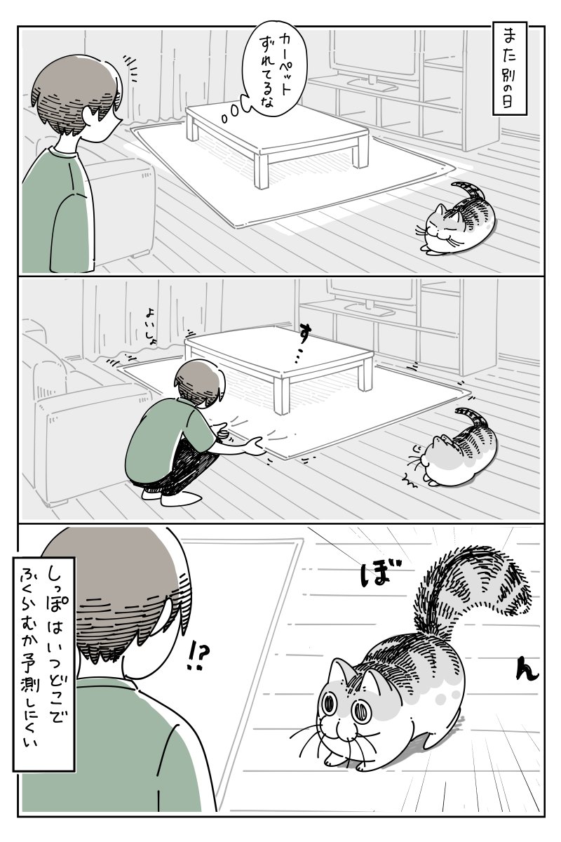 これは大丈夫だけどアレはダメ 猫さんのしっぽがぶわぶわになる理由が予測しにくい話 たぬきちゃんと呼ばれます Togetter