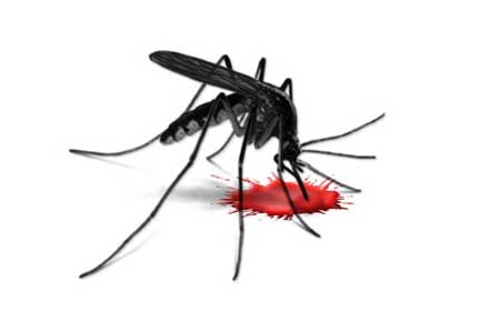 आता धोका साथीच्या आजारांचा!

Read:prahaar.in/danger-of-epid…

#epidemics #Dengue #malaria #AnophelesStephensi #Malariamosquitoes