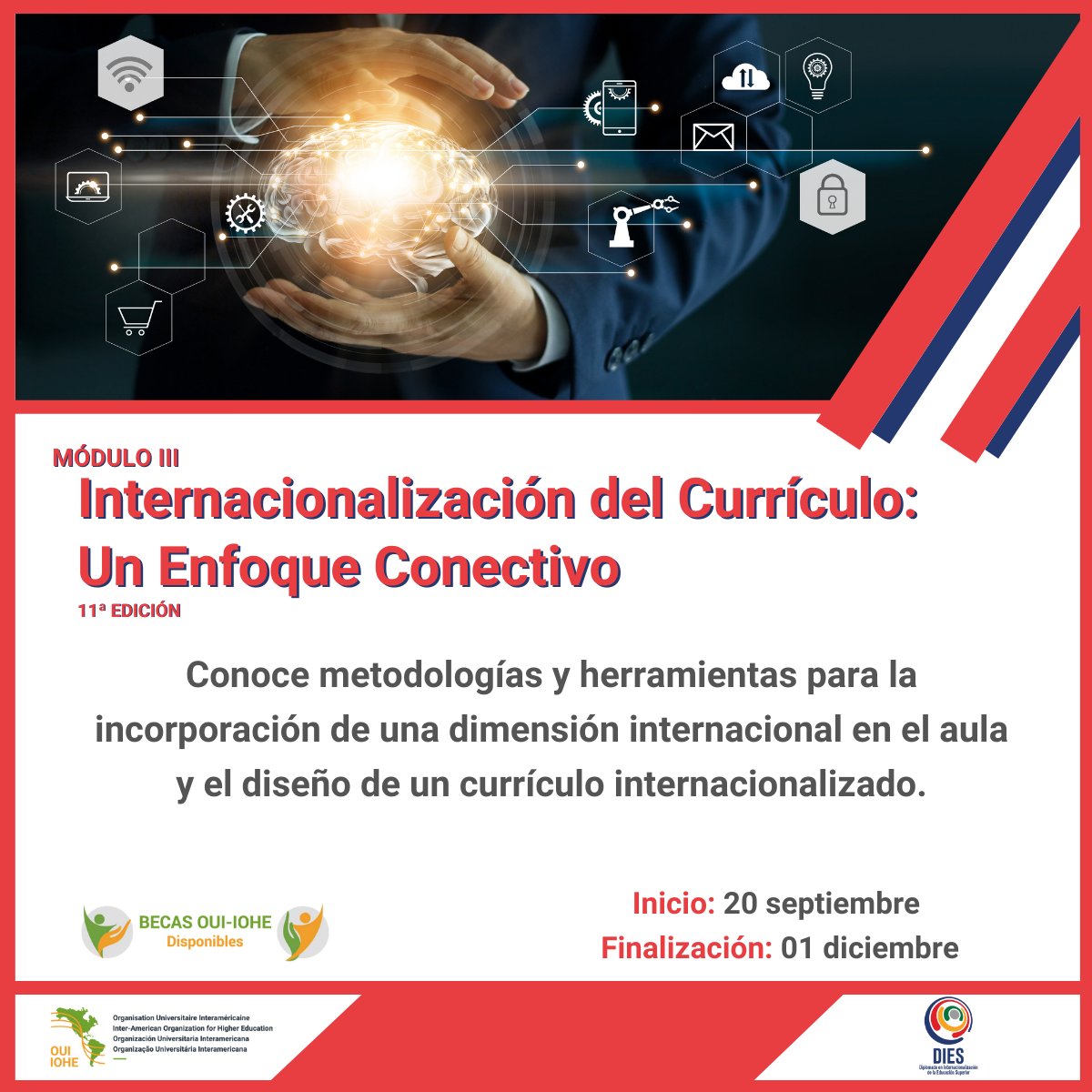 ouiiohe's tweet photo. Ya se encuentran abiertas las inscripciones para el módulo #DIES “Internacionalización del Currículo: Un Enfoque Conectivo” orientado al desarrollo de habilidades y competencias para incrementar la #internacionalización del currículo en las IES.
Más en: https://t.co/AVPsQR9P2Q https://t.co/ggqpremN6I