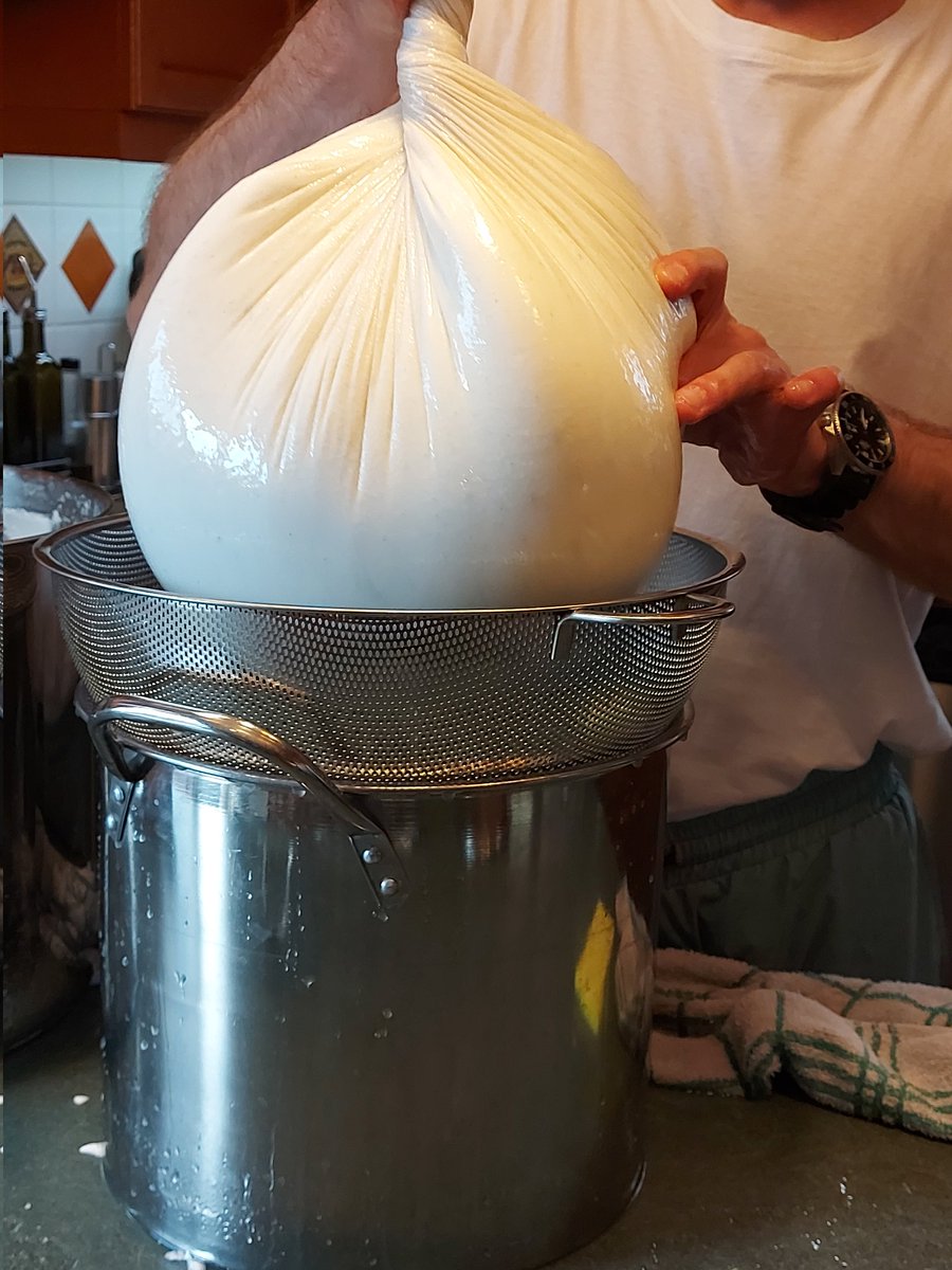 urbanmoon's tweet photo. This is what 20 KG of #Stilton looks like (preliminary stages) and that's not even all of it! We're still working on getting the rest of it into the cheesecloth. #cheese #makingcheese https://t.co/Gse6q0M9Fe