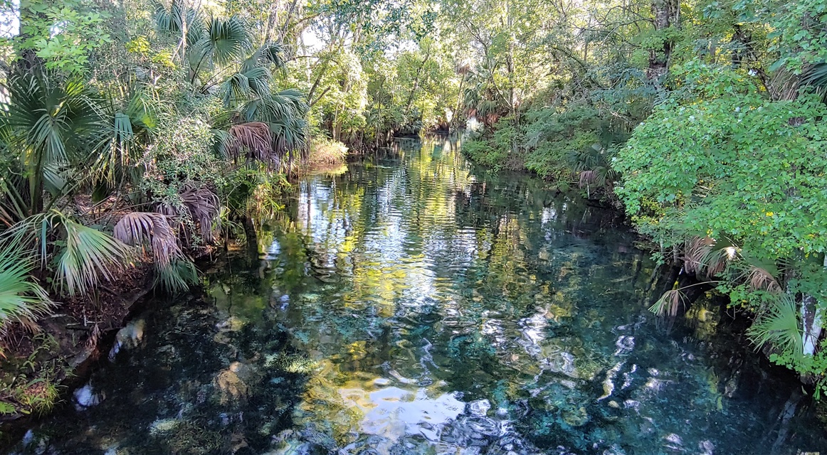 Nature is the best therapy. It is the best to keep our mental clarity.  Here is my therapy from yesterday. Silver Springs.  Most of us are plug to the electronics.  Been by the water is so refreshing. 
#Florida #SilverSprings #nature #therapy #SilverSprings #FloridaSprings