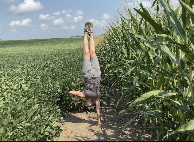 Karen Braun tweet media