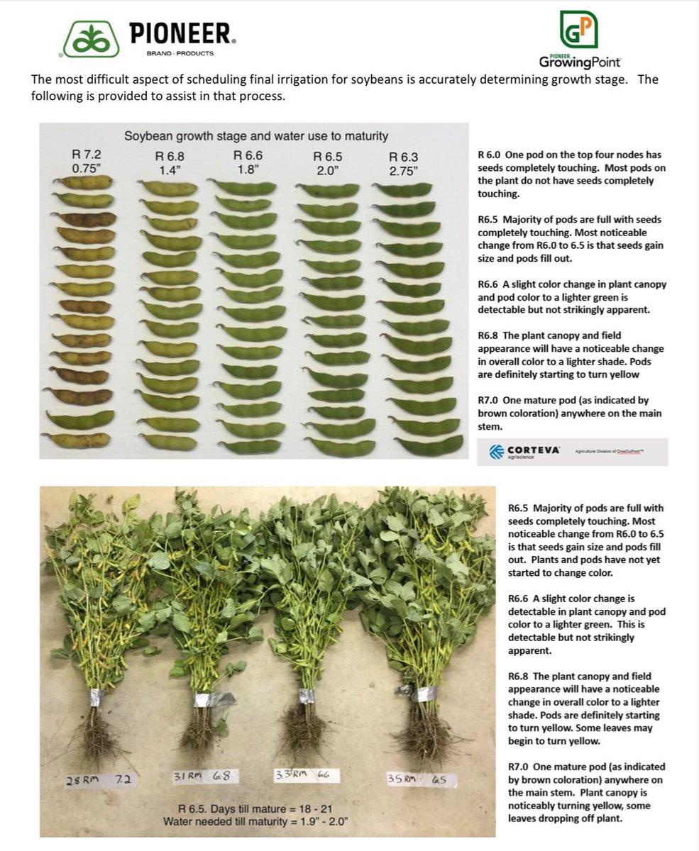 The biggest mistake growers make is the last irrigation. Don’t assume you have enough moisture in the soil to finish your crops. Remember to stage your corn and soybeans.  Thanks to <a href="/doran_johnson/">Doran Johnson</a> <a href="/mcclurewm/">Bill McClure</a> <a href="/PioneerSeeds/">Pioneer Seeds U.S.</a> <a href="/corteva/">Corteva Agriscience</a>