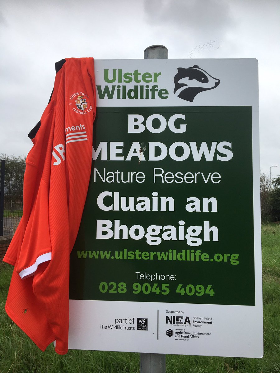 Big thanks to Tony McDonagh @BelfastTrust for organising & attending the Men’s International Day walk today in Bog Meadows, West Belfast, during our hard earned lunch break. My 6000+ steps were in honour of @Mickharford @ProstateUK @LutonTown I’m keeping the Faith 🙏 COYH 🎩