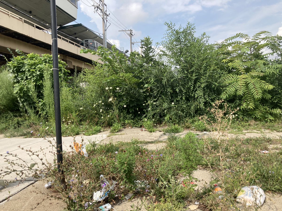 <a href="/RLopez15thWard/">RL</a> <a href="/AldSColeman16/">Ald. Stephanie D. Coleman</a> I have for months and nothing has been done