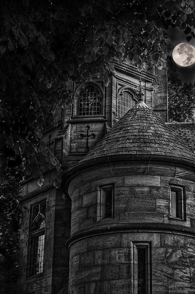 MarkHunterArts's tweet photo. Another one for World Photography Day, here at the Tower Gardens, Dyls Cafe Bar in York. Black and white with a bit of a Moon.

 #WorldPhotographyDay #blackandwhite #blackandwhitephotography  #Moon #Nikon #nikonphotography #York #Yorkshire https://t.co/Gwbp0sejyz