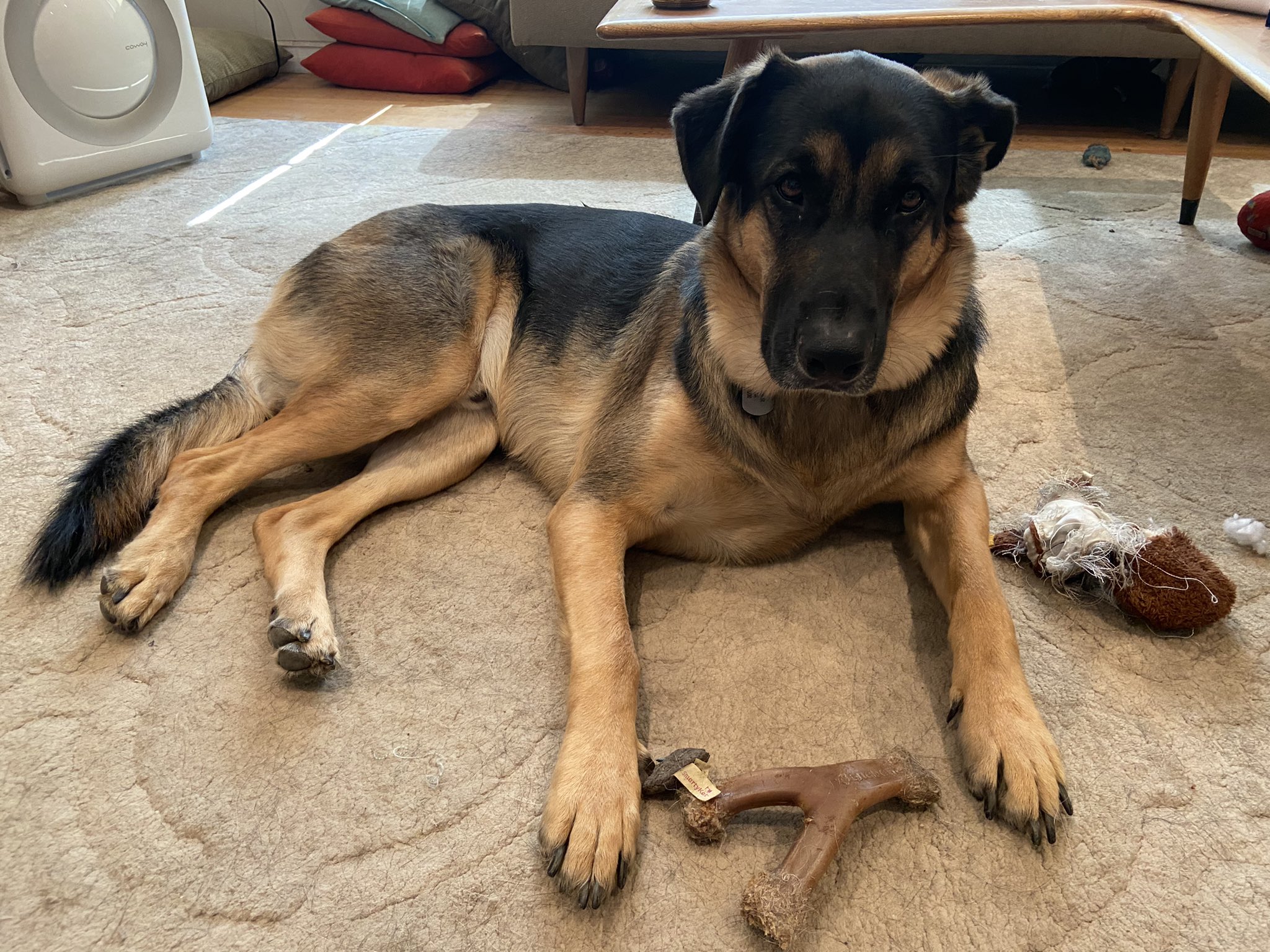 Big boy turned 2!  Happy birthday to my big, sweet cuckoo banana face, Henry!!     