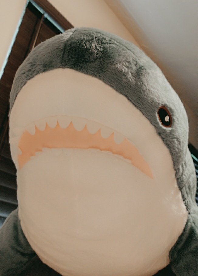 LilArfArf's tweet photo. @Xx_RawrParty_xX Beware! https://t.co/oOu6ajxW1X