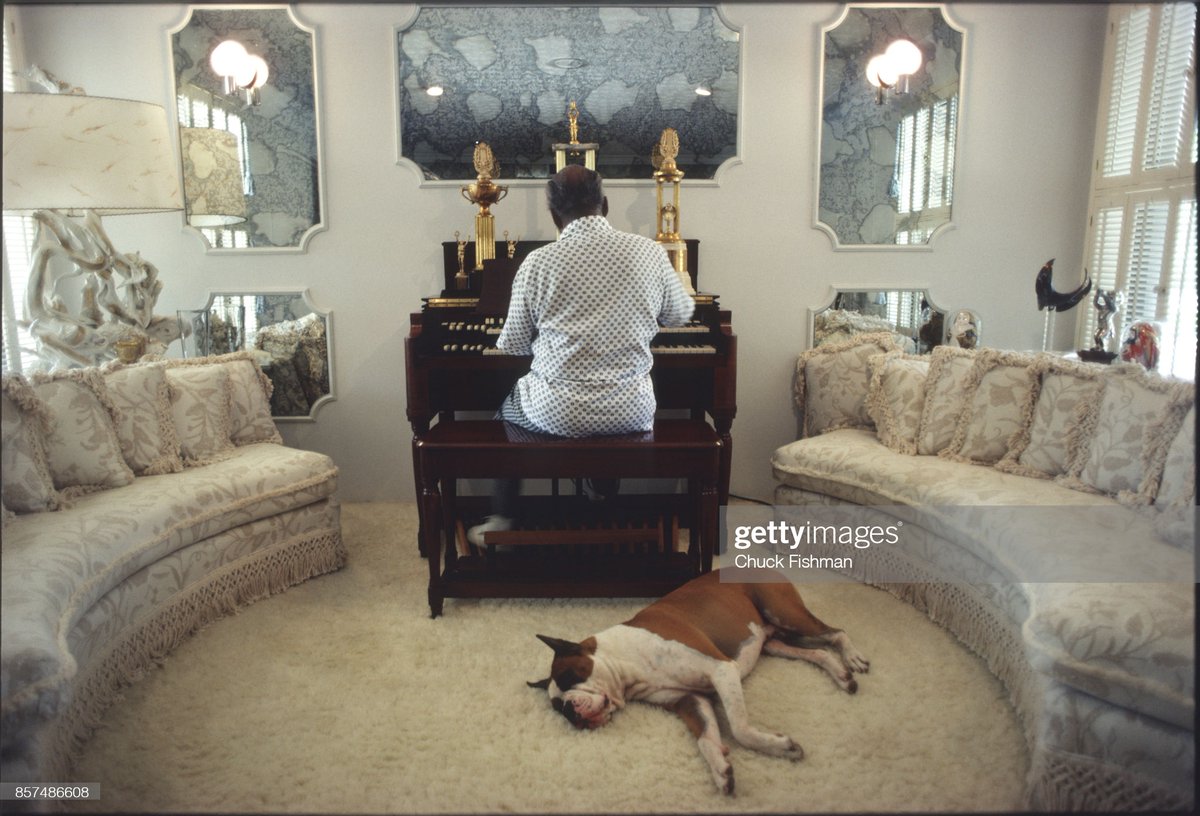 _EJECTA_'s tweet image. Ultimate living room fantasy. The Count at home 1979.