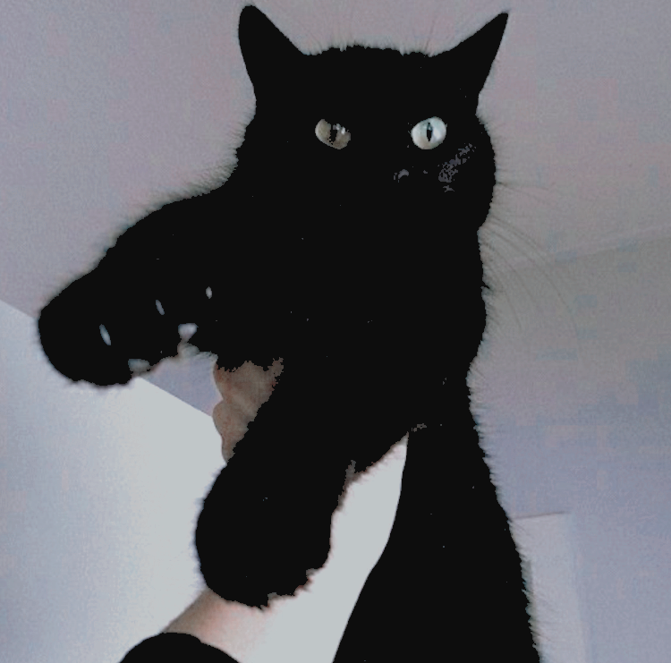 ㅤ ㅤㅤㅤㅤ𝐇𝐀𝐏𝐏𝐘 𝐓𝐈𝐌𝐄𝐒. . .  
ㅤㅤㅤㅤㅤㅤㅤㅤㅤㅤ𝐎𝐑 𝐍𝐎𝐓. ╱。
ㅤㅤㅤㅤㅤㅤㅤㅤㅤ
❛  <a href="/DEADLIESTWIDOW/">‍ ‍‍ ‍‍،، ‍𝓒𝙷͟𝙾͟𝚂͟𝙴͟𝙽 𝙾𝙽𝙴 .</a>,ㅤ❱❱ㅤ<a href="/THEWIDOWBlTE/">𝗥𝗢𝗠𝗔𝗡𝗢𝗩𝗔. ╱｡</a> ❜꧂