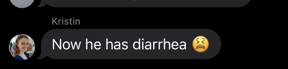 First week with the dog is going really well!