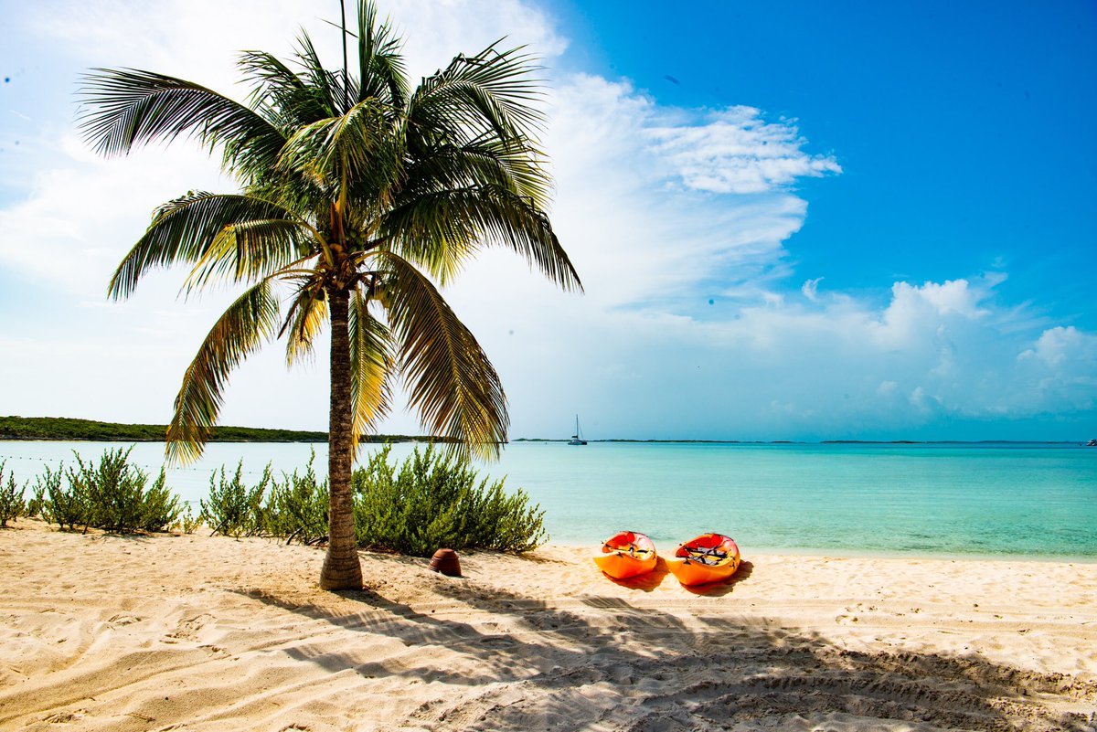 highbournecaybs's tweet photo. In a tropical state of mind.⁣ 🏝 
.⁣
.⁣
.⁣
#travel #travelphotos #beaching #vacation #highbournecay #tropical
#thebahamas #beaches #itsbetterinthebahamas #exumas #greatfood #food #finedining #baecation #photooftheday https://t.co/VLaLaO48W8