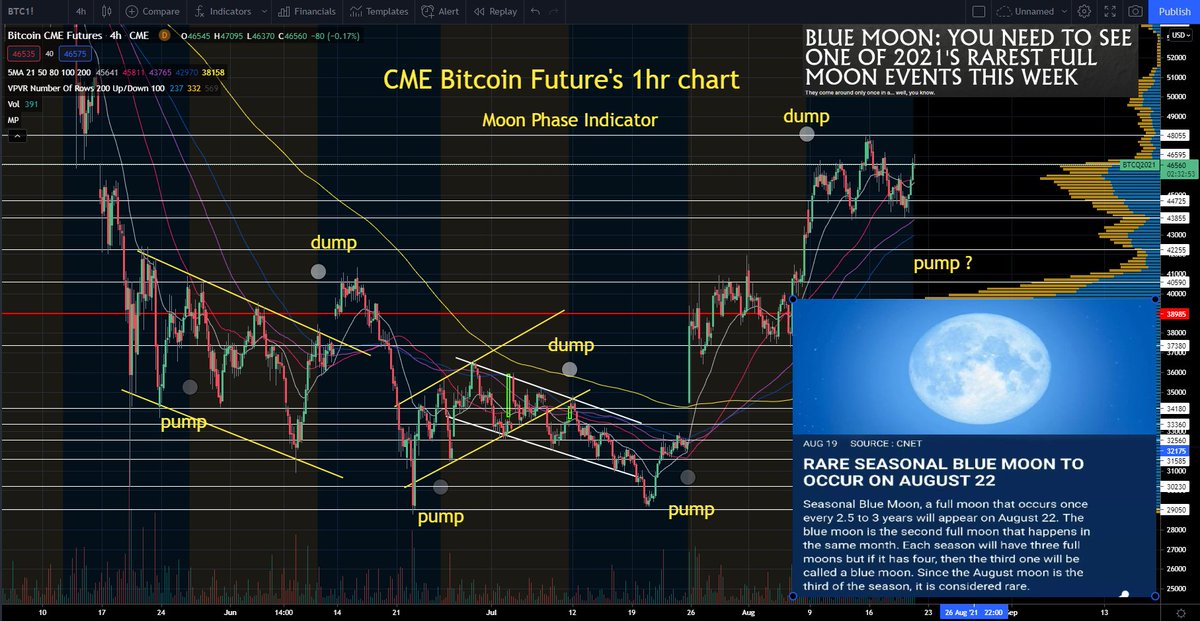 CryptoBTC_Chris's tweet photo. Rare Blue Moon this weekend, only happens every 2.5 years or so.. 

All this time I've spent studying Technical Analysis..
#MoonEdition, let's see what happens.. 

Online palm readings coming soon, lol.. 

$BTC #Bitcoin https://t.co/UfPo9rTKpv