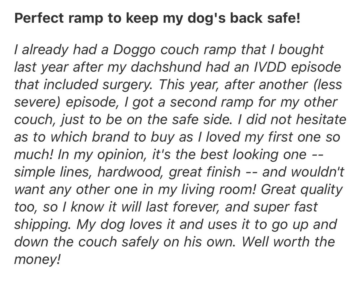 DoggoRamps's tweet photo. Keep pups safe and happy is what we do! 😋👍 https://t.co/DNOyOEDxmE