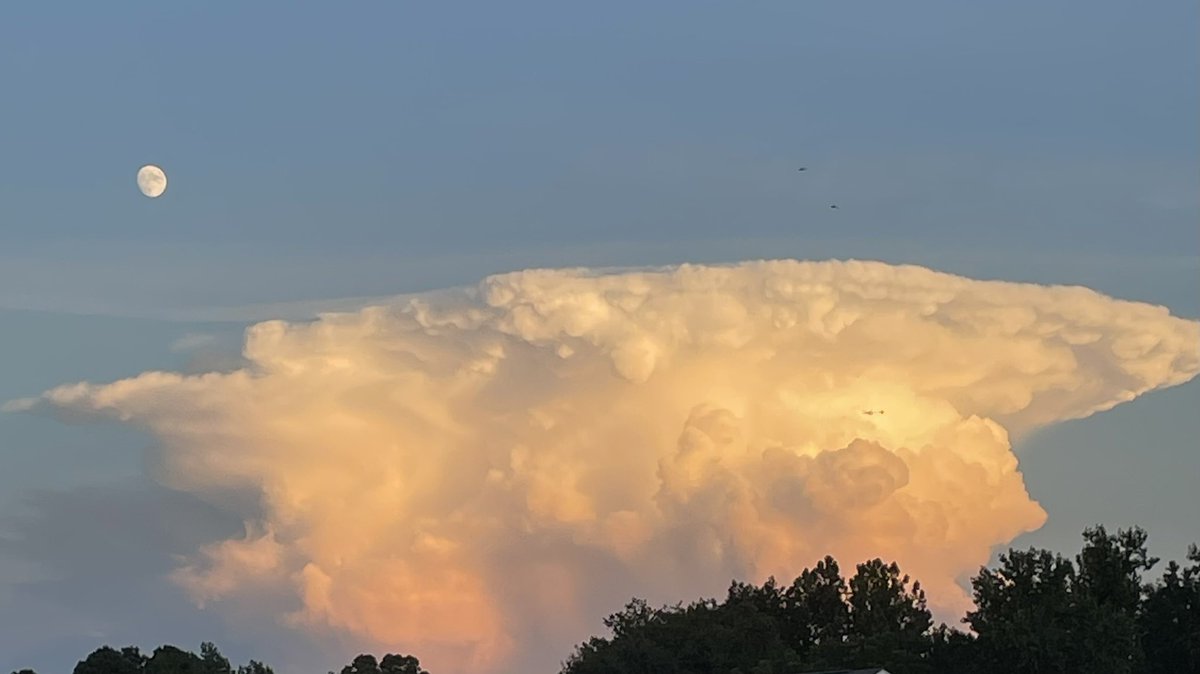 trikerwitch73's tweet photo. @JeffEdmondsonWX what kind of cloud is this?(Gates,NC) https://t.co/MYdpWgQPMr