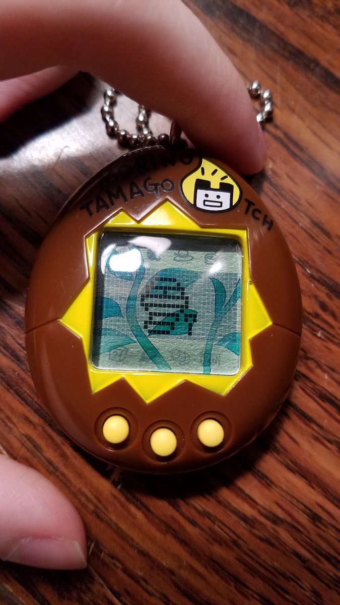 ToshitchiGotchi's tweet photo. I ended up giving up on my V5 (again) and started a white egg morino. I'm not familiar with what's happening to it currently, another cocoon stage..? https://t.co/3jue4Hv93J