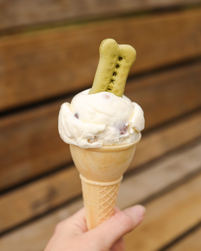 Attention all pups... NEW K9 ice cream alert!🐾 We have partnered with @dogkie_vancouver to create a limited edition doggie ice cream with our cream base and their Rainbow Bubbles and treats on top!
Who's bringing their pup to try one??🐶