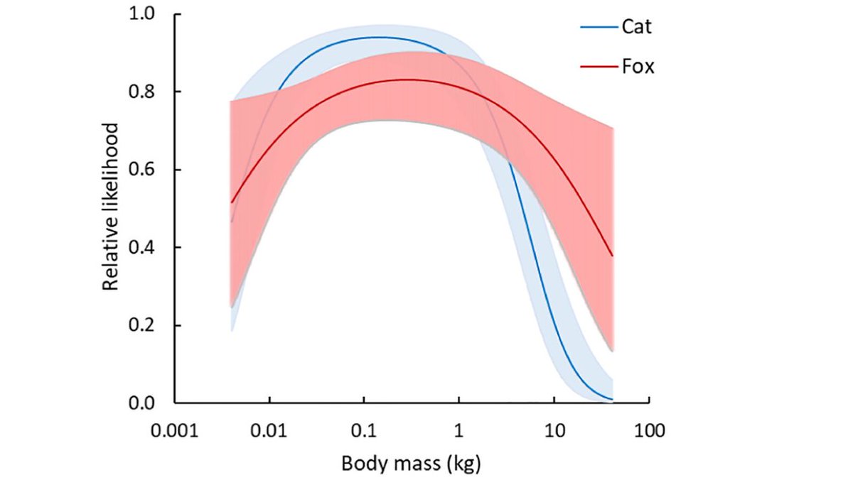 Trish Fleming tweet media