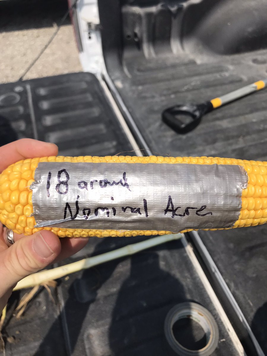 klingbeil_ISU's tweet photo. Counting rows around and length only tells half your story!  How much is left in the fuel tank?  Great day south of I-80 #viewfromthefields @agrilytics #sendrain https://t.co/xeAcAFiGtb