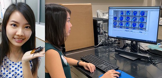uhmanoa's tweet photo. 🐜🦟🦗 Get up close and personal with ants, termites, roaches, mosquitoes, flies, fleas, lice, and ticks in a new Plant and Environmental Protection Sciences class that will cover urban pests and medically-important insects! More ➡️ https://t.co/SbcOsgFx5G @TayUrbanEntoLab https://t.co/QuEclrseZK
